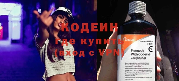 гашик Кодинск