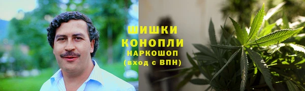spice Козловка