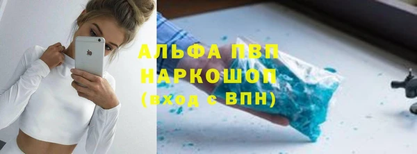 гашик Кодинск